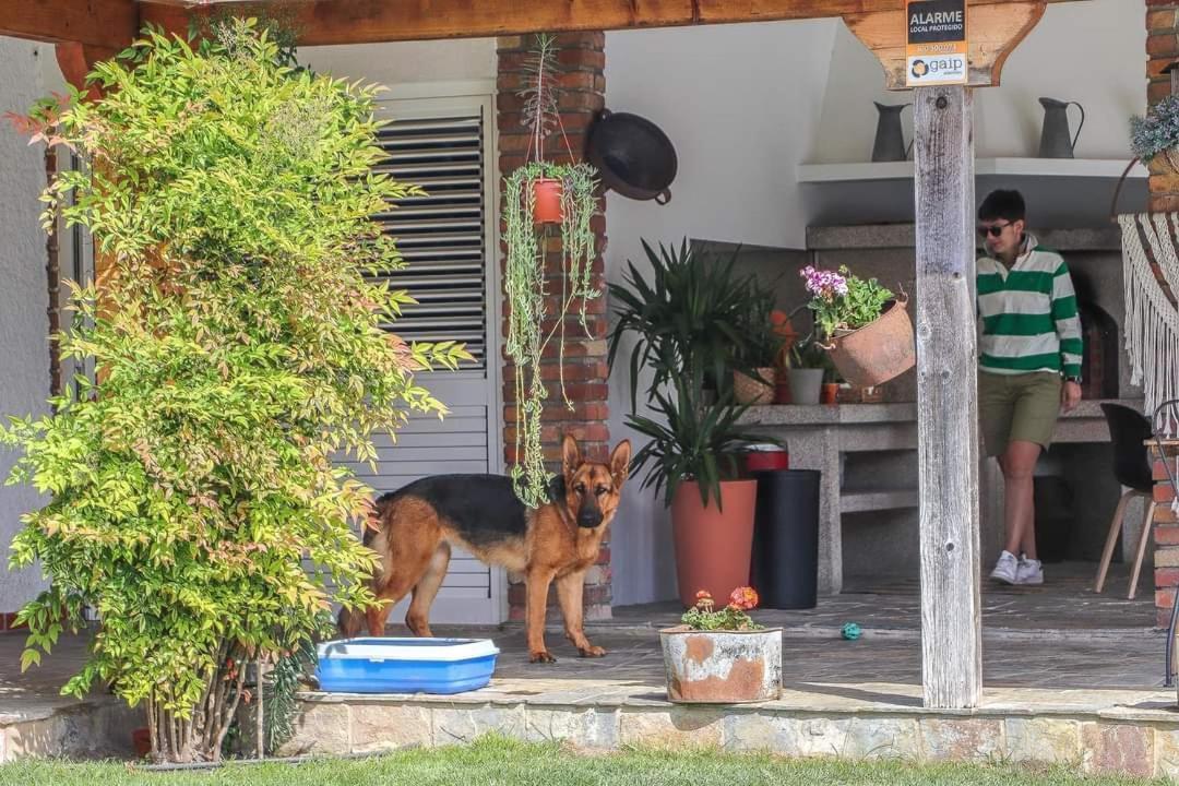 Villa Dos Corceis Εσποσέντε Εξωτερικό φωτογραφία